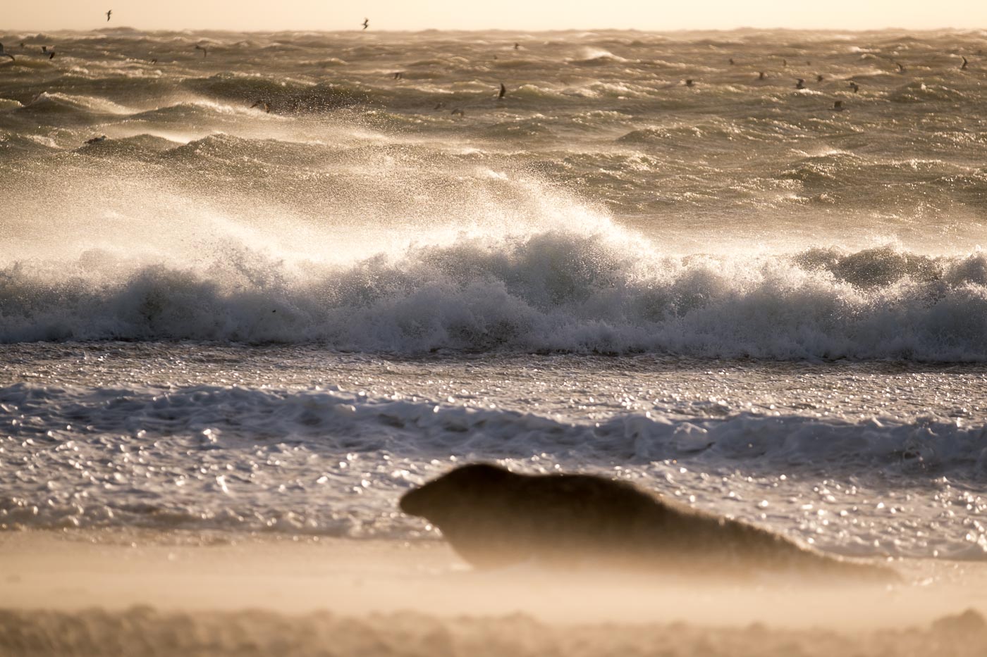 Helgoland